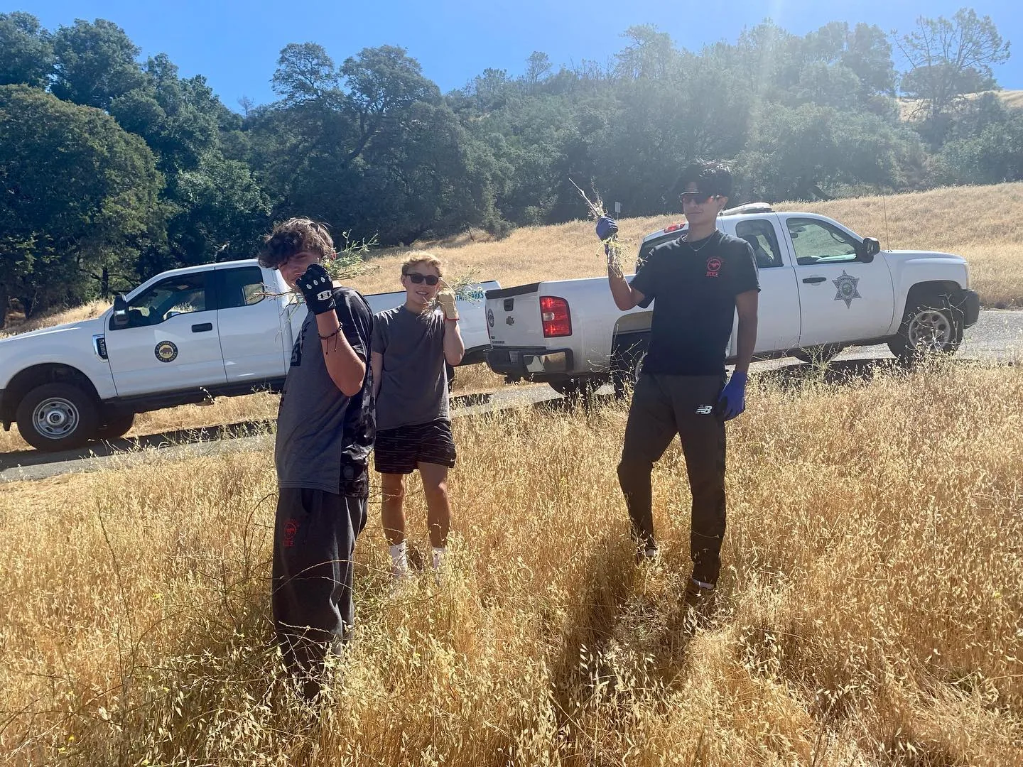 Volunteers removing invasive plants on Mount Diablo in July 2022